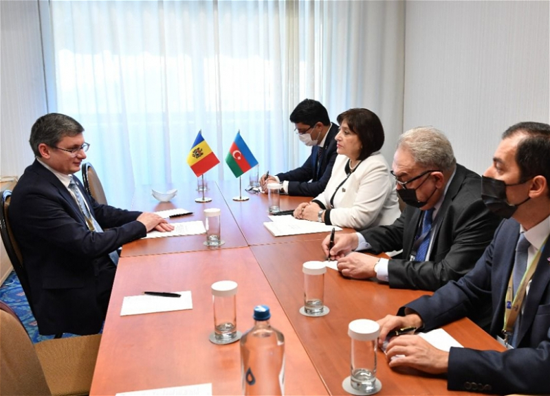 Председатель парламента Молдовы: Наша страна заинтересована в развитии многосторонних связей с Азербайджаном