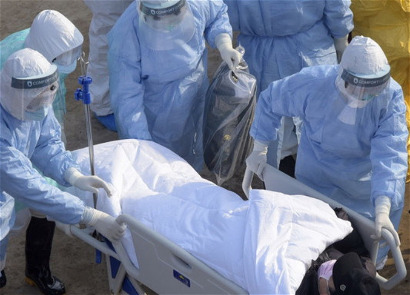 ВОЗ заявила, что за неделю число умерших от коронавируса в мире выросло на 8%
