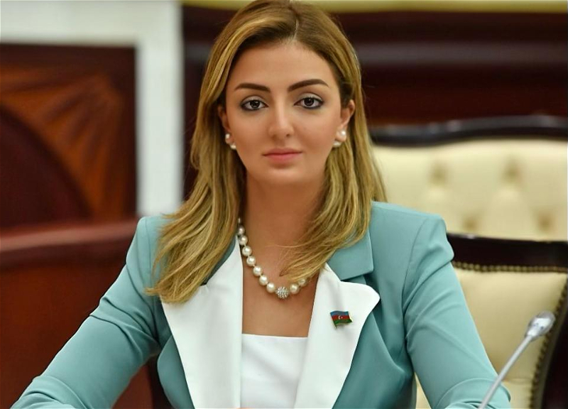 Кёнуль Нуруллаева написала в хорватской прессе о великой Победе Азербайджана