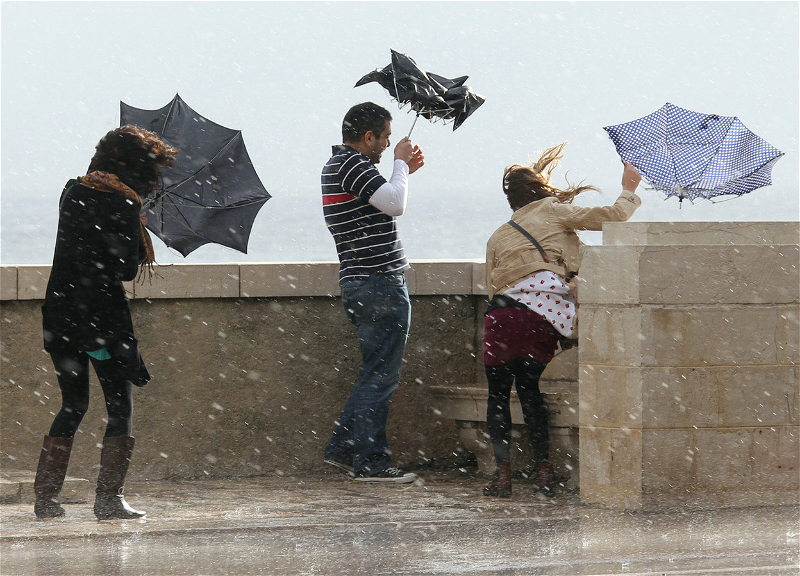 Как долго в Баку сохранится ветреная погода?