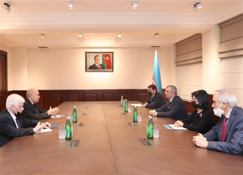 Обсуждены перспективы гуманитарного сотрудничества между Азербайджаном и Россией - ФОТО