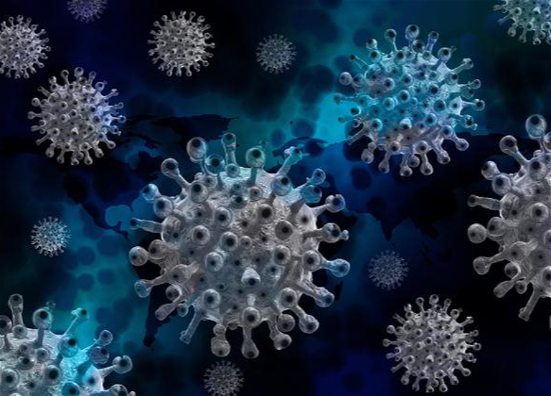 Обнаружен новый штамм коронавируса: ВОЗ собирает экстренное совещание