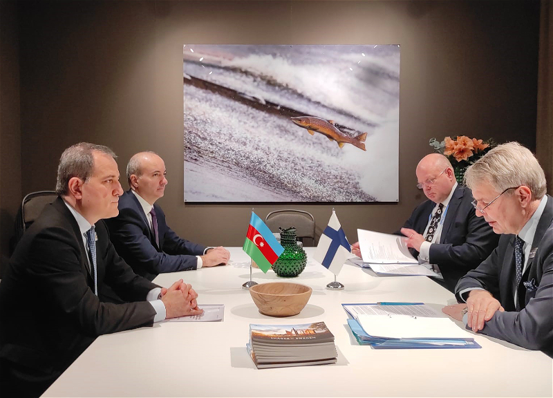 Баку и Хельсинки обсудили сотрудничество в международных организациях