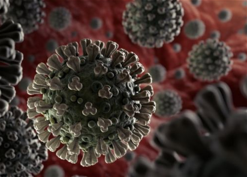 Главный инфекционист США: Информации об омикрон-штамме коронавируса пока недостаточно