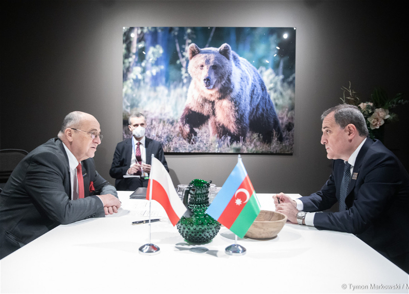 Главы МИД Азербайджана и Польши провели встречу в Стокгольме