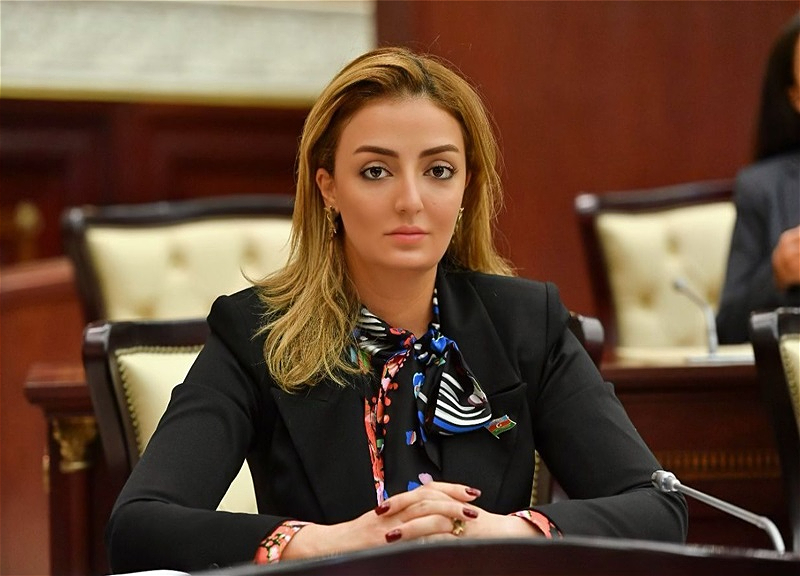Статья Кёнуль Нуруллаевой о восстановлении Карабаха опубликована в 13 арабоязычных СМИ