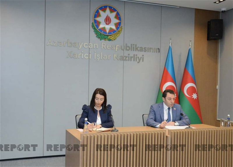 Эльнур Мамедов: Рекомендации Международного суда Армении по мирному договору совпадают с позицией Баку