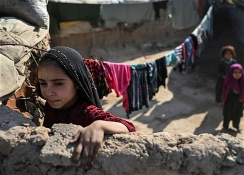 «Убивали везде»: Amnesty International рассказала о зверствах талибов в Афганистане