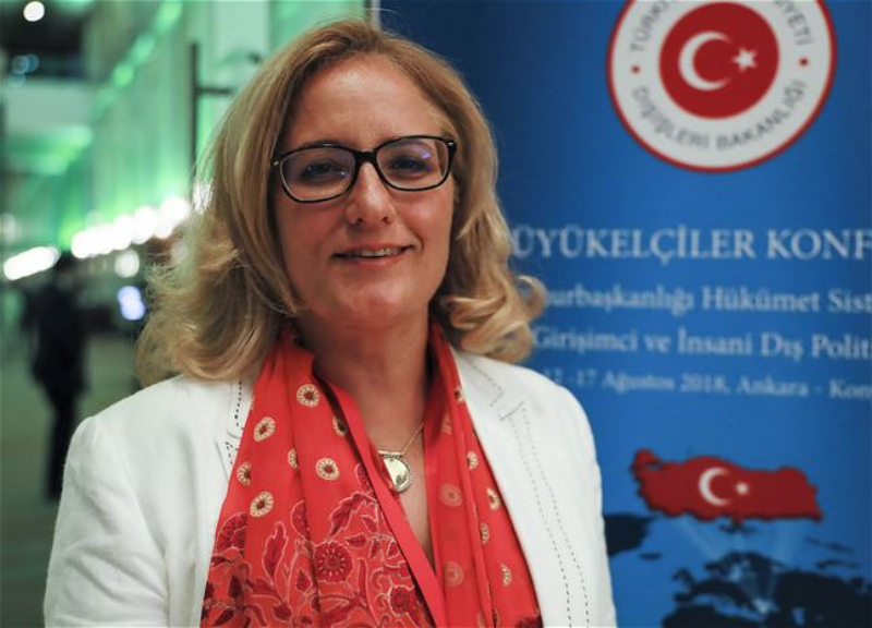 Посол Турции в Грузии: Я обязательно побываю в Карабахе