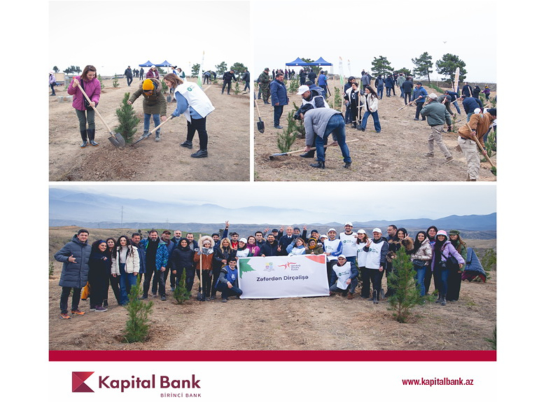 Kapital Bank принял участие в акции по посадке деревьев в Зангилане