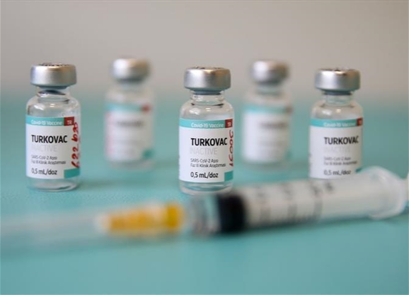 В Турции одобрили применение собственной вакцины от коронавируса