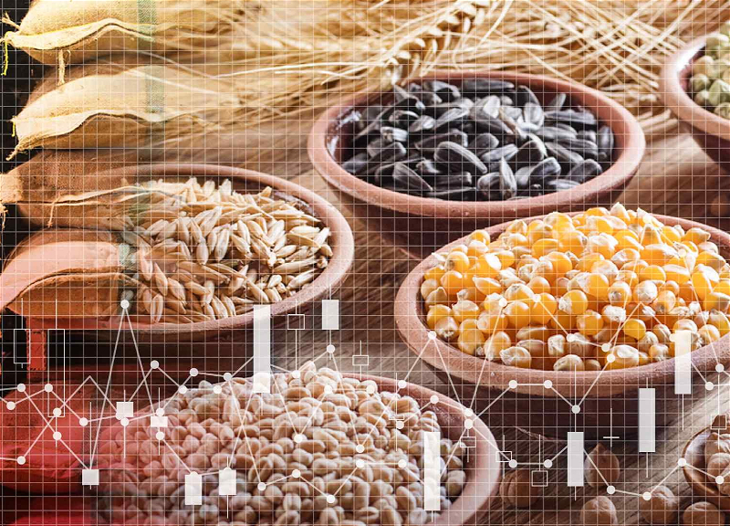 Китай скупил половину всей пшеницы мира, провоцируя глобальный рост цен на продукты