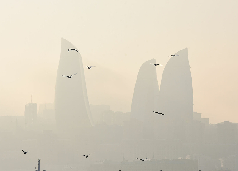 Названа причина туманной погоды в Азербайджане