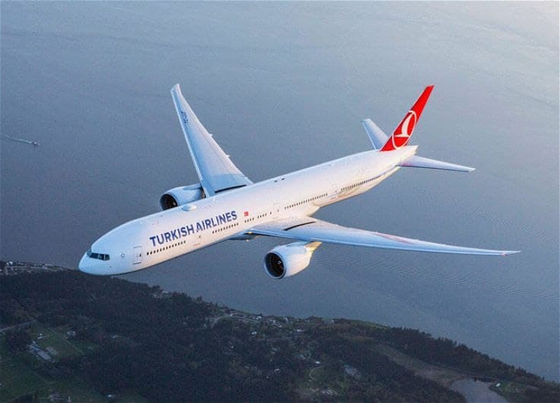 Turkish Airlines 8 января осуществит вывозной рейс из Казахстана в Турцию