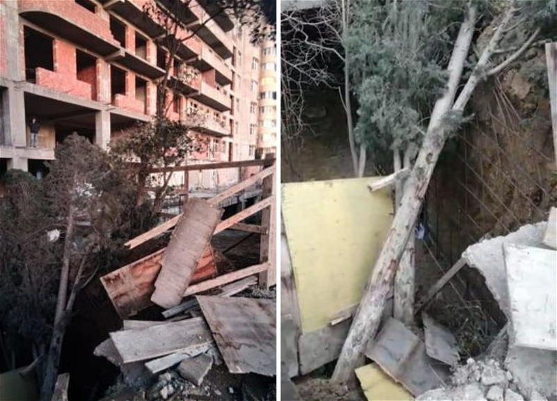 В Хырдалане по вине стройкомпании повалены деревья - ФОТО