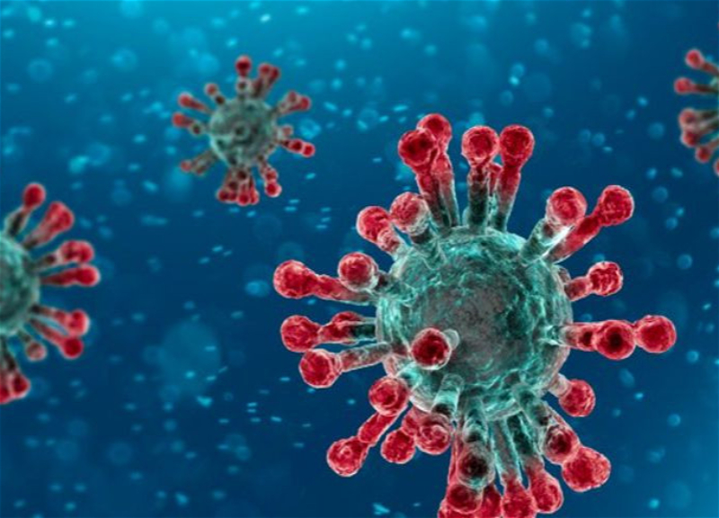 Azərbaycanda koronavirusun “Omicron” ştammı aşkarlanıb