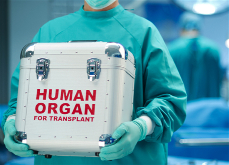 В Азербайджане планируется проведение трансплантации органов, изъятых у трупов