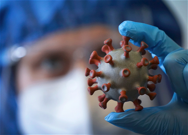 В Азербайджане коронавирусом заразились еще 710 человек