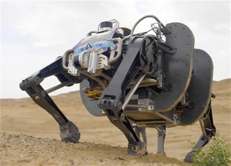 В Китае разработали крупнейшего в мире четвероногого робота для разведки - ВИДЕО