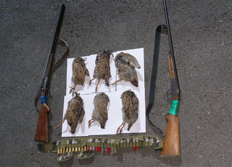 В Билясуваре задержаны охотники на птиц, занесенных в «Красную книгу»