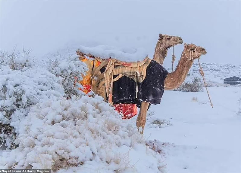 В пустыне Сахара выпал снег – ФОТО - ВИДЕО