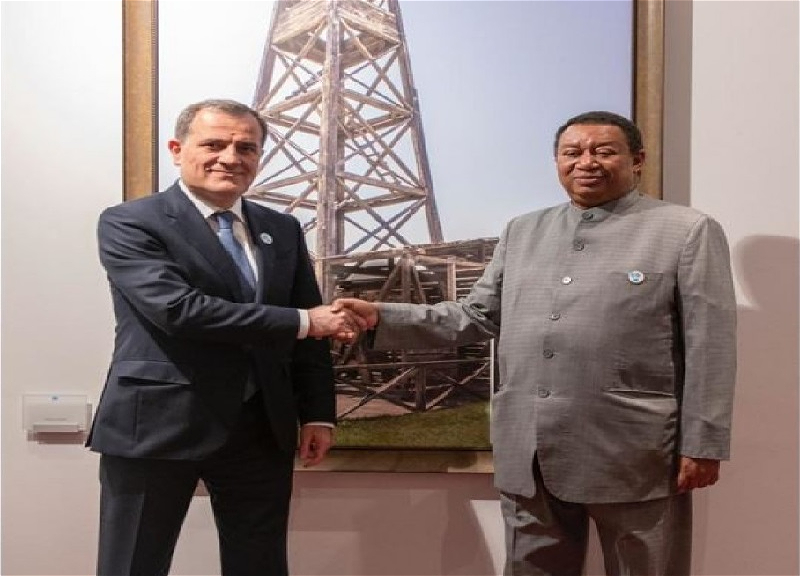 Ceyhun Bayramov OPEC-in Baş katibi ilə görüşüb - FOTO