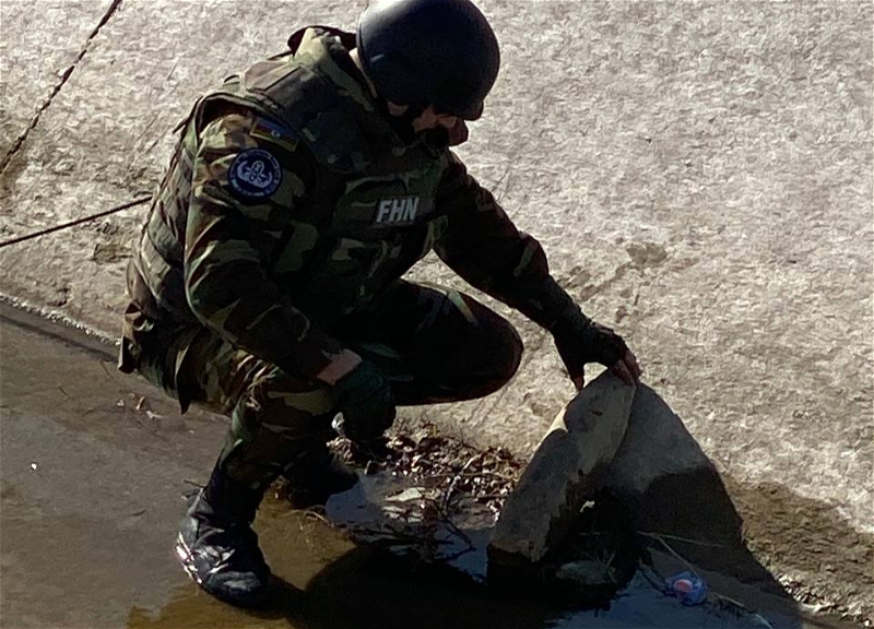 В Абшеронском районе обнаружены боеприпасы - ФОТО - ВИДЕО