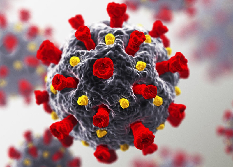 ВОЗ о следующем штамме коронавируса: «Он будет еще заразнее, чем «омикрон»