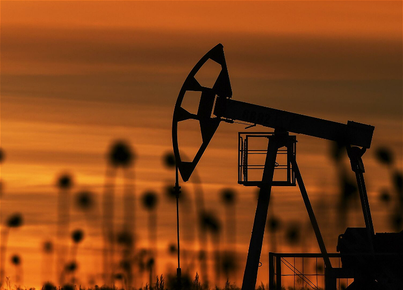 Нефть умеренно дорожает после снижения накануне