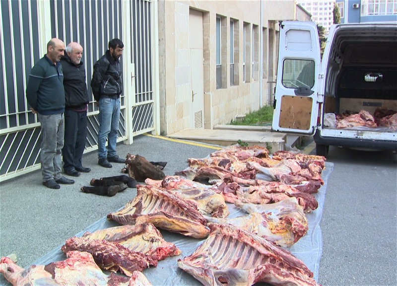 В Азербайджане задержаны члены преступной группировки за реализацию непригодного мяса - ФОТО - ВИДЕО