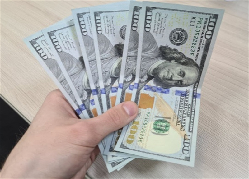 Госнефтефонд обнародовал февральские данные по продаже валюты