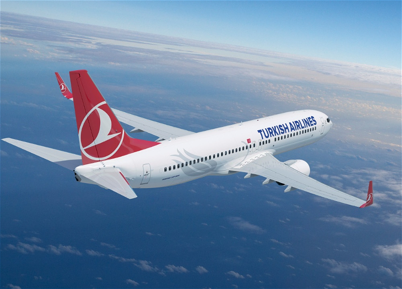 Türk Hava Yolları приостанавливает несколько стамбульских рейсов