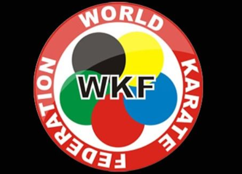 Всемирная федерация карате отстранила российских и белорусских спортсменов от международных турниров