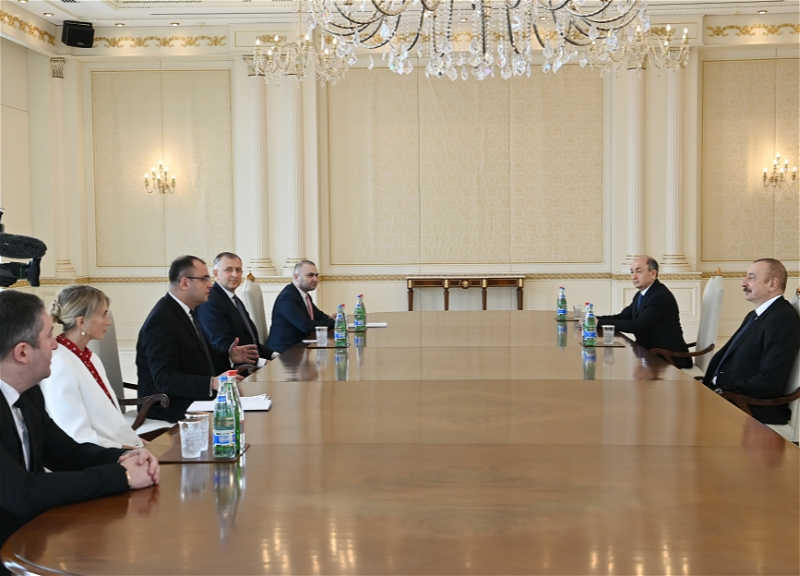 Президент Азербайджана принял делегацию во главе с грузинским министром - ФОТО