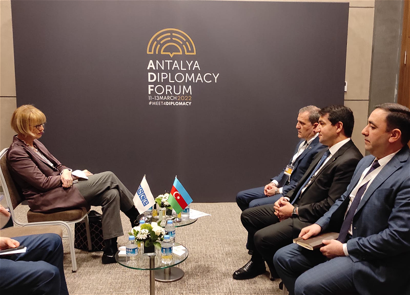 Глава МИД Азербайджана и генсек ОБСЕ встретились в Турции