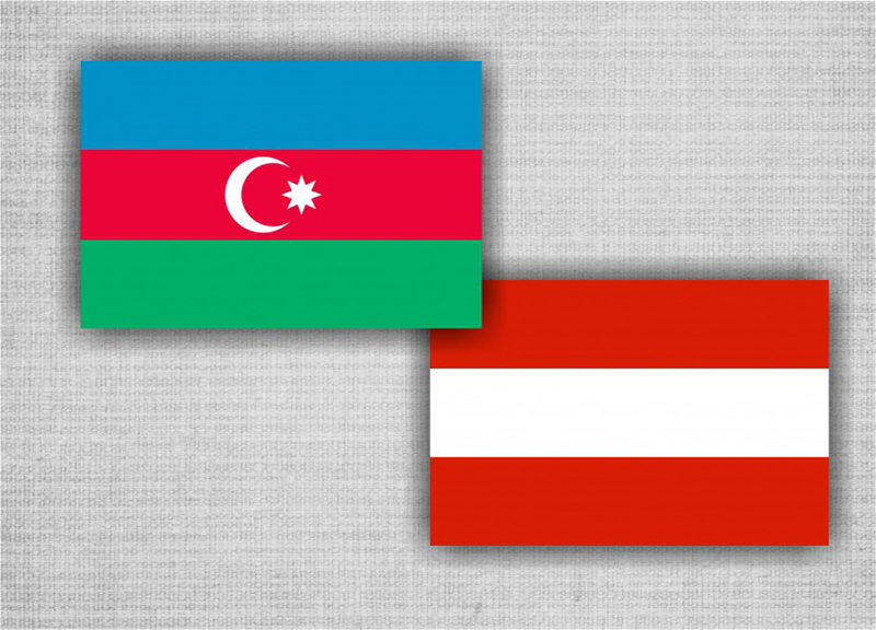 Австрия предлагает подписать с Азербайджаном долгосрочный газовый контракт
