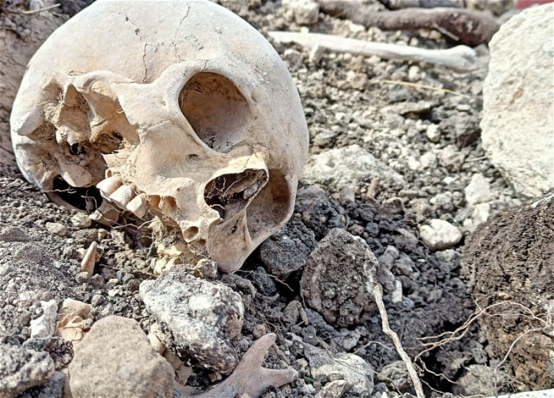 В селе Фаррух найдены останки еще нескольких азербайджанцев - ФОТО - ВИДЕО