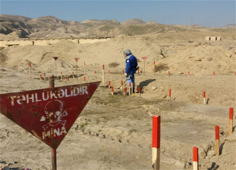 Западные партнеры поддерживают инициативы Азербайджана по освобождению Карабаха от мин