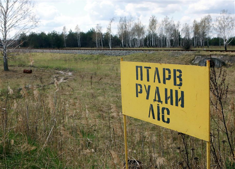«Шансов нет»: о судьбе российских солдат после пребывания в лесу возле Чернобыля