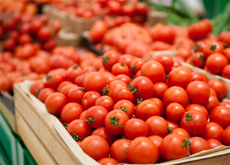 Отправленные из Азербайджана 432 тонны томатов не допущены к ввозу в РФ