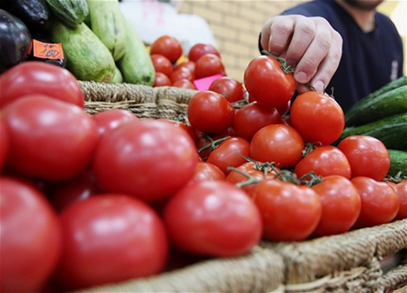 Агентство продбезопасности Азербайджана пояснило вопрос о запрете на ввоз помидоров в Россию