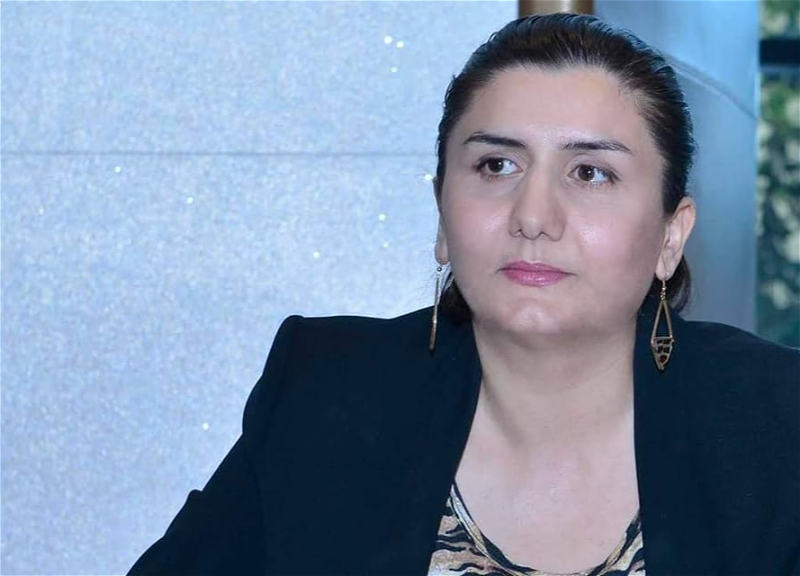 Счетная палата Азербайджана осталась без пресс-секретаря