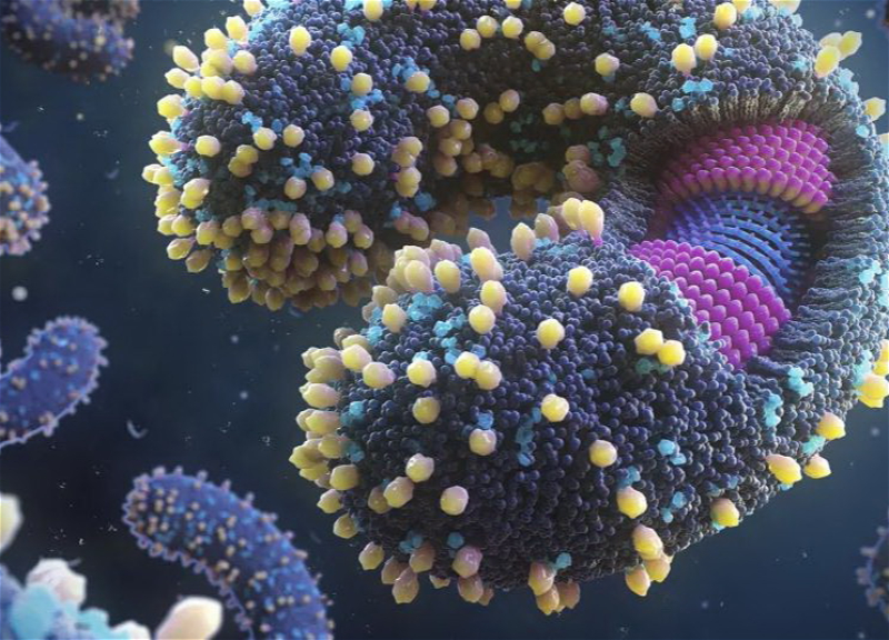 В Мировом океане найдено около 5500 новых видов РНК-вирусов