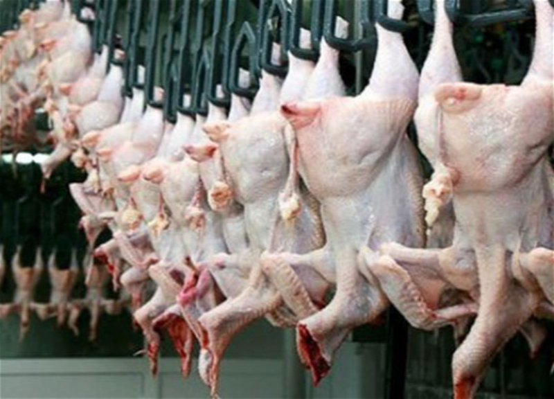 В Азербайджане подорожало куриное мясо – ВИДЕО