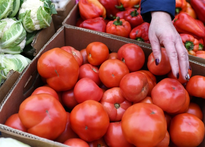 Почему в Азербайджане подорожали помидоры?