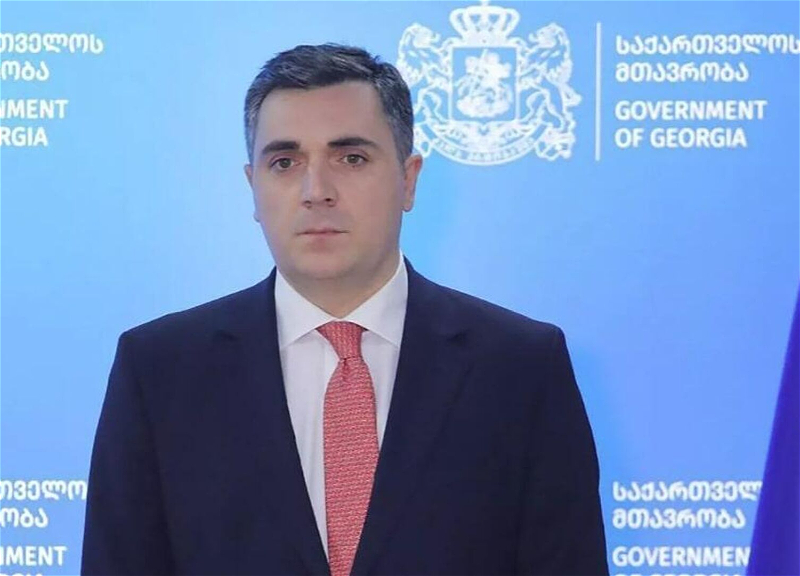 Глава МИД Грузии заявил о готовности его страны внести вклад в достижение мира в регионе