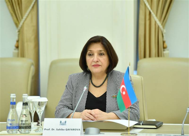 ​​​​​​​Сагиба Гафарова рассказала главе МИД Грузии о шагах по нормализации азербайджано-армянских отношений – ФОТО