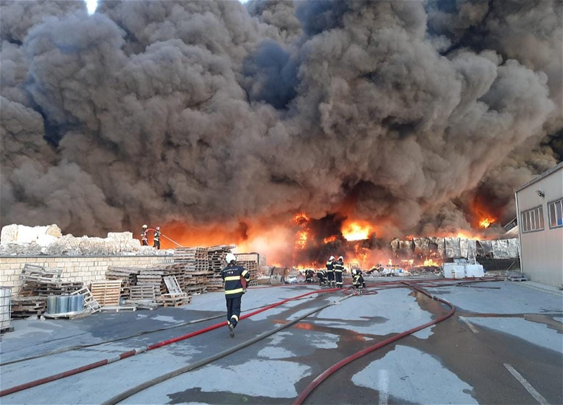 TƏBİB: После пожара в «Промышленном парке «Азерсун» госпитализированы 9 человек