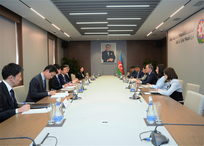 Глава МИД Азербайджана и замминистра иностранных дел Японии обсудили перспективы сотрудничества