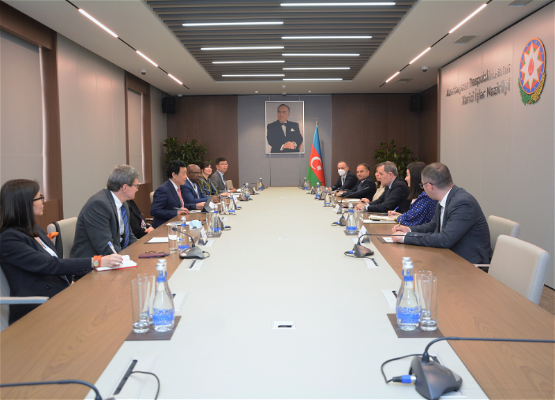 Глава МИД Азербайджана обсудил с руководителем FAO вопросы сотрудничества